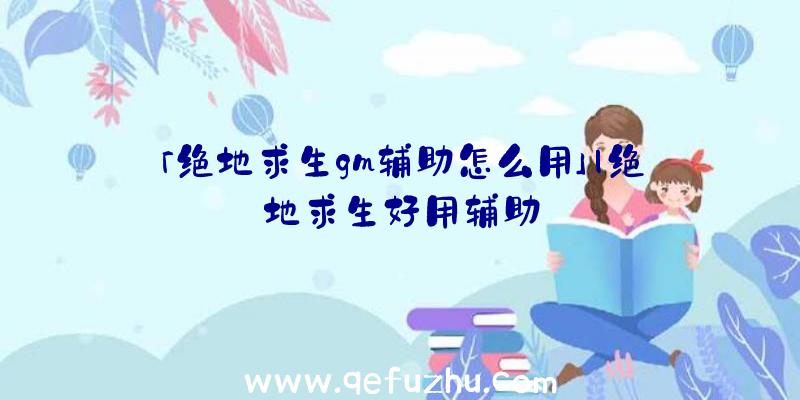 「绝地求生gm辅助怎么用」|绝地求生好用辅助